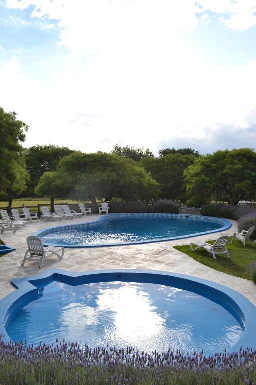 Cabanas Los Algarrobos ビジャ・ヘネラル・ベルグラーノ エクステリア 写真